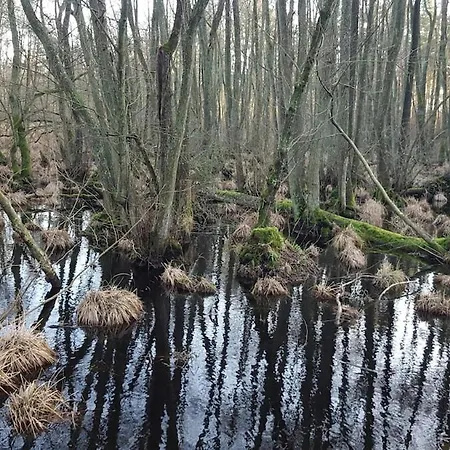 Gelbes Haus - Ostseeurlaub Bei Freunden
